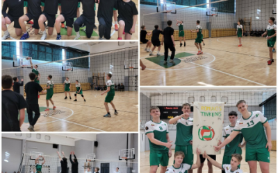 Tinklinio turnyras, skirtas Kovo 11-ajai paminėti