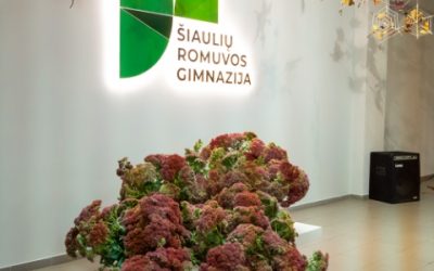 Mokytojų dienos staigmena – ROMULUVRAS